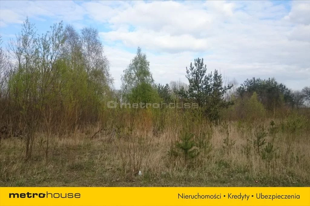 Działka 2 800,00 m², oferta nr , CEKY837, Bełchatów