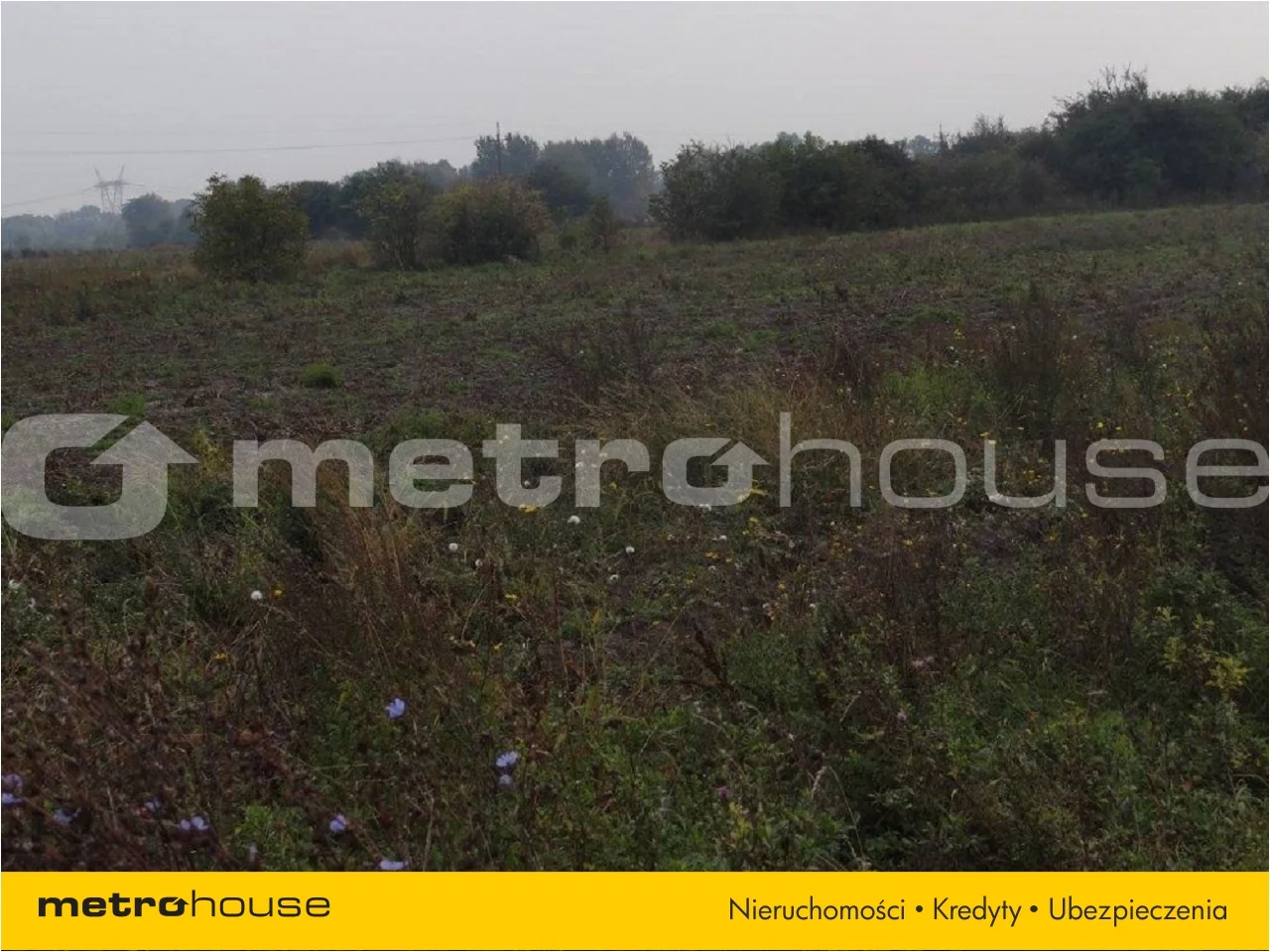 Działka 10 000,00 m², oferta nr , PESY824, Bieniewo-Parcela