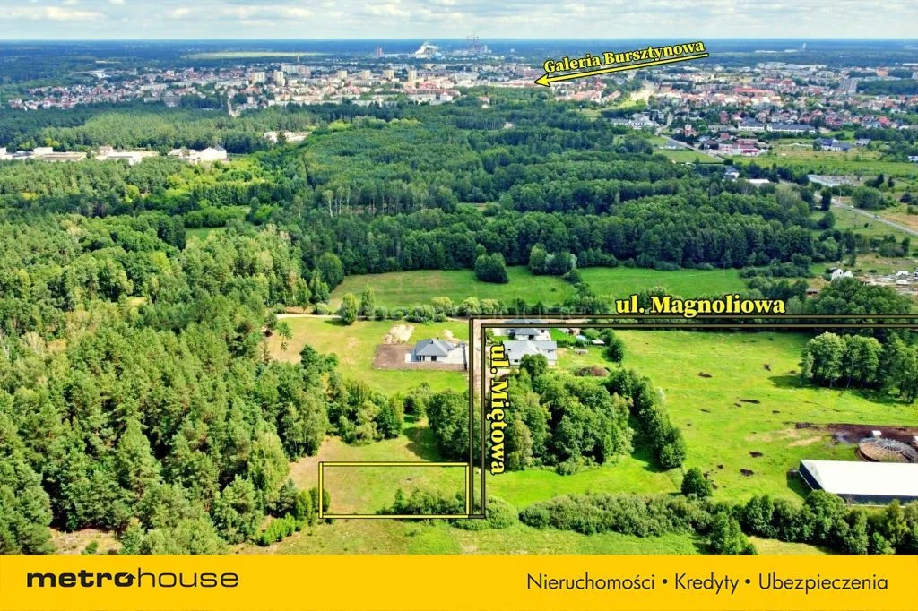 Działka 1 374,00 m², oferta nr , SGLOVO341, Dzbenin, Błękitna