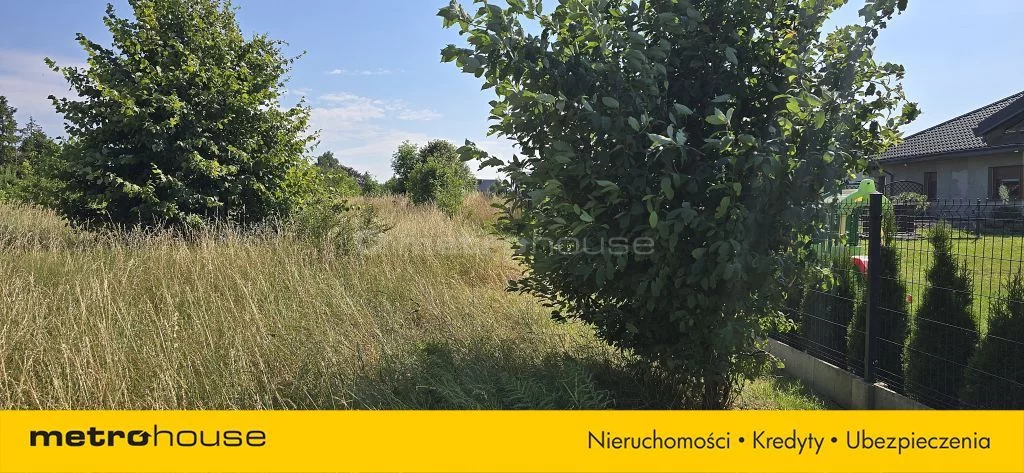 SGRIPY212 - zdjęcie nr 4
