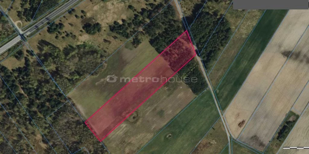 Działka 15 000,00 m², oferta nr , SGMOSU453, Blinno