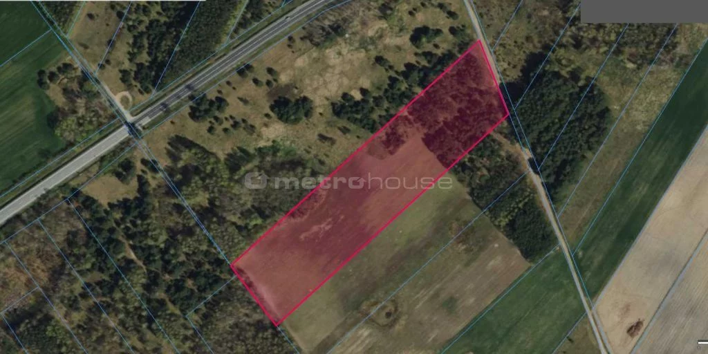 Działka 21 600,00 m², oferta nr , SGTAFE670, Blinno