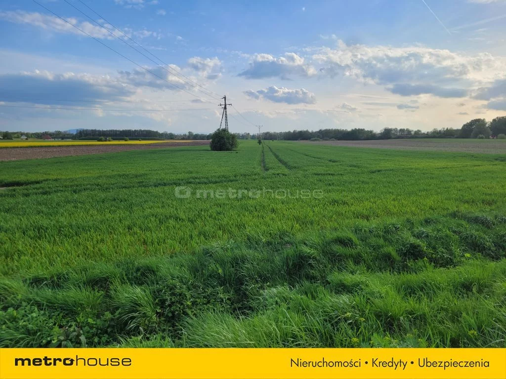 Działka 22 700,00 m², oferta nr , PAWO829, Bogdaszowice