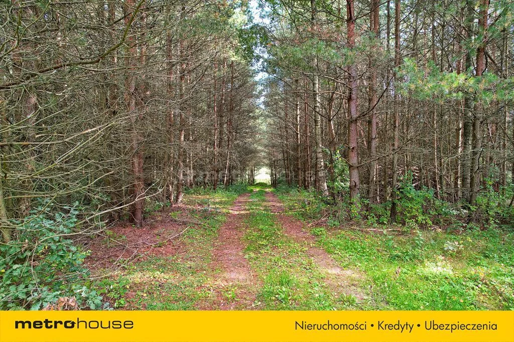 Działka 1 018,00 m², oferta nr , SGJUVE947, Borki