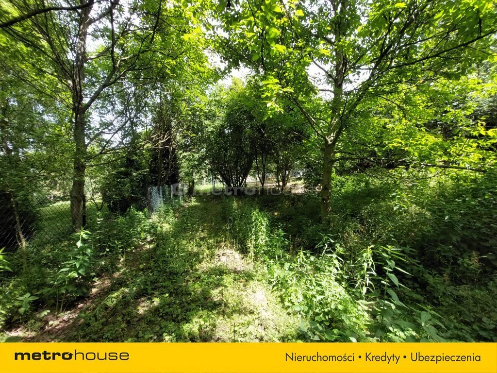Działka 3 221,00 m², oferta nr , SGJIRU459, Borkowice