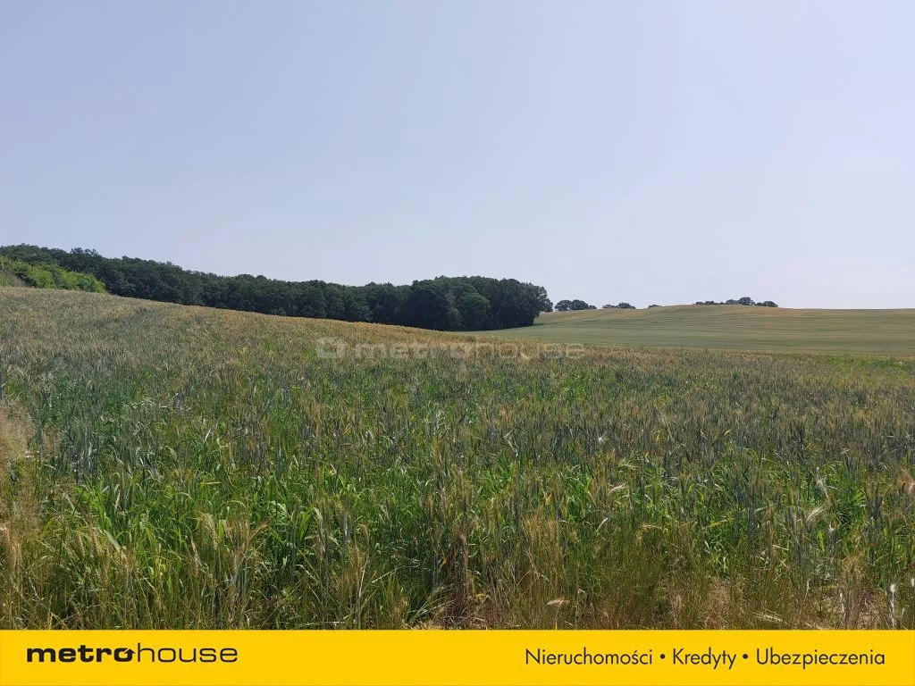 Działka 3 221,00 m², oferta nr , SGJIRU459, Borkowice