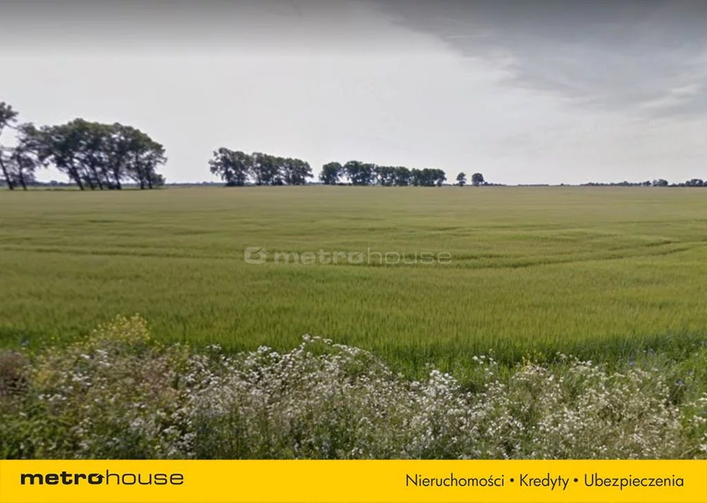 Działka 658,00 m², oferta nr , SGPABE346, Borkowice