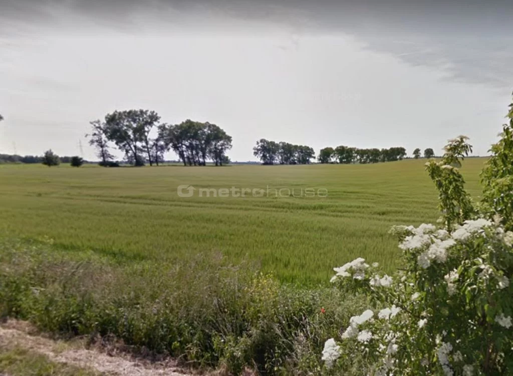 Działka 1 930,00 m², oferta nr , SGPANI806, Borkowice