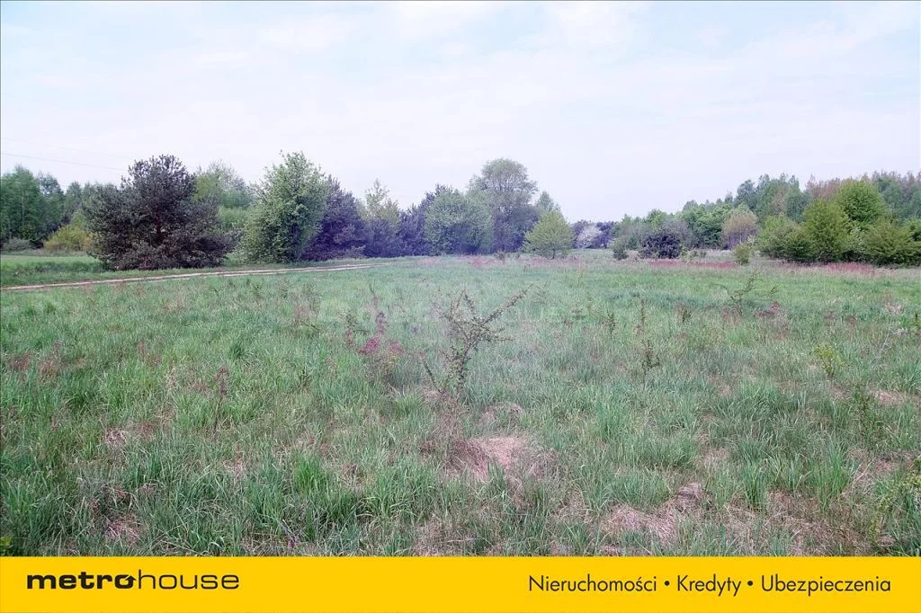 Działka 10 000,00 m², oferta nr , PORY970, Borowiny