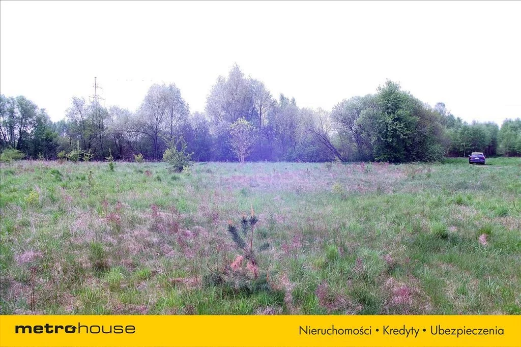 Działka 10 000,00 m², oferta nr , PORY970, Borowiny