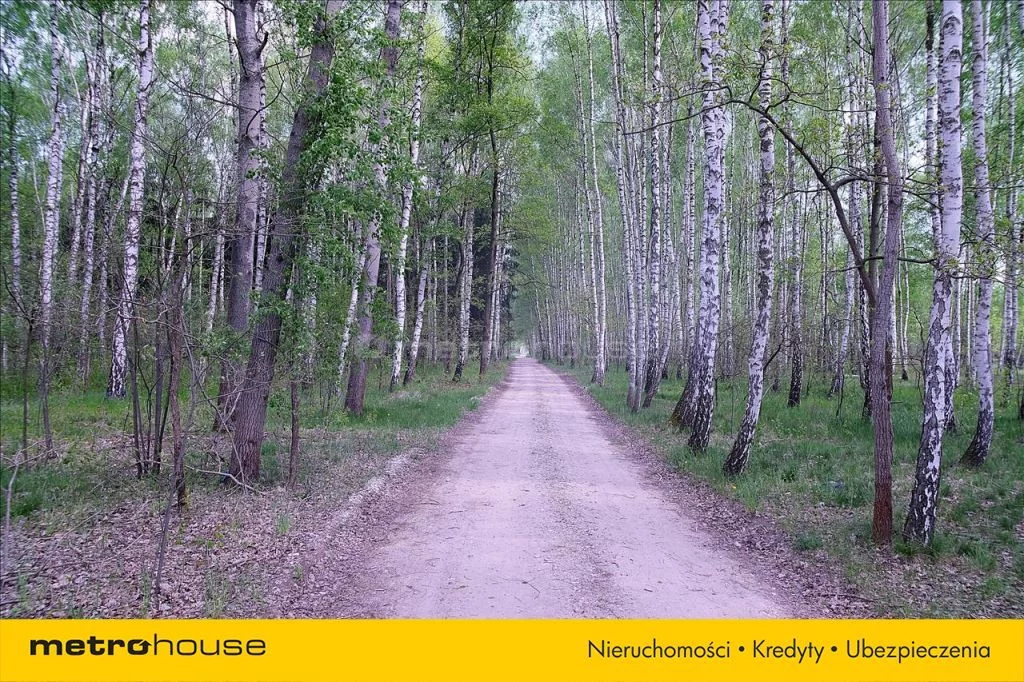 Działka 10 000,00 m², oferta nr , PORY970, Borowiny