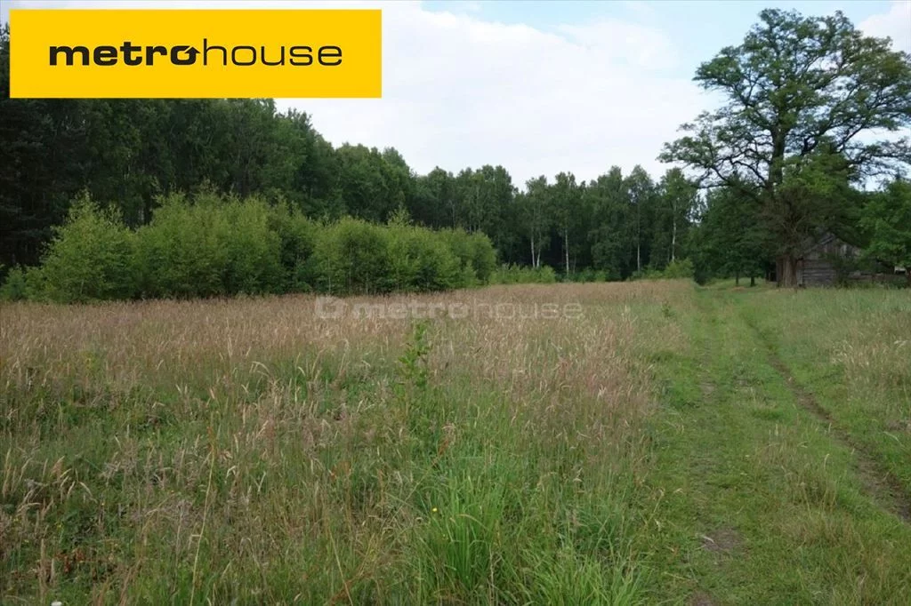 Apartamenty LIBY758 Borowiny