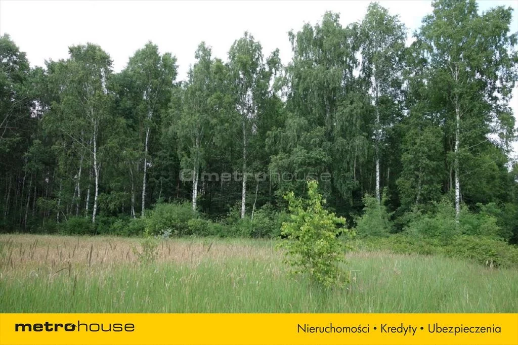 Działka 10 400,00 m², oferta nr , LIBY758, Borowiny