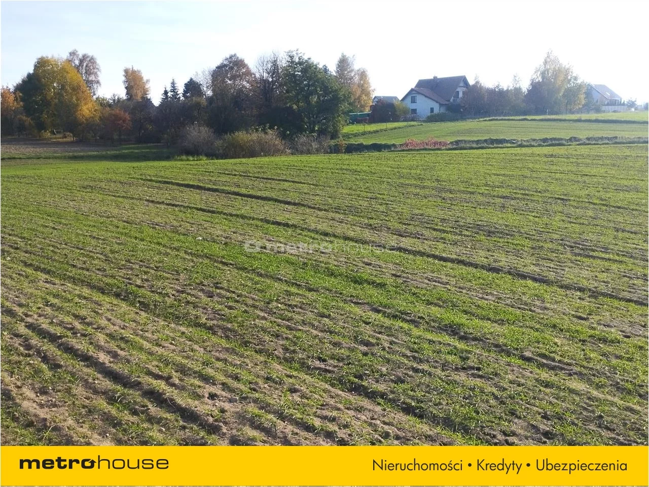 Działka 17 900,00 m², oferta nr , MOPU856, Brodnica
