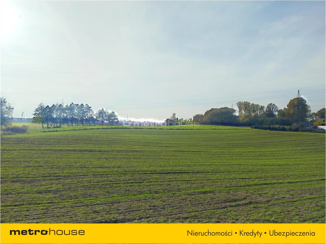Działka 17 900,00 m², oferta nr , MOPU856, Brodnica