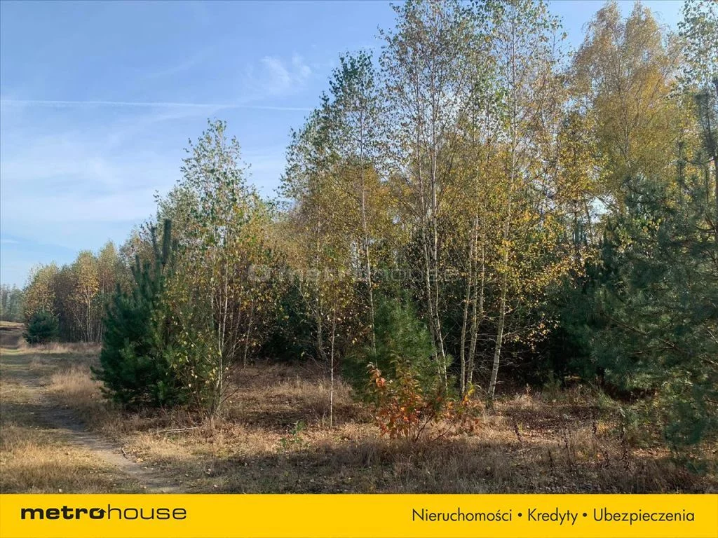 Działka 7 037,00 m², oferta nr , SYNY859, Bronisławów