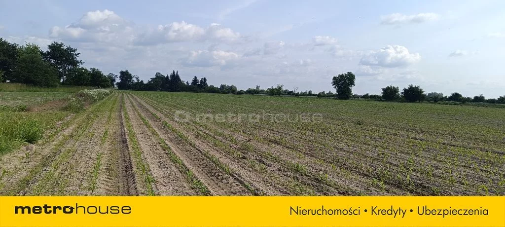 SGFITO231 - zdjęcie nr 0