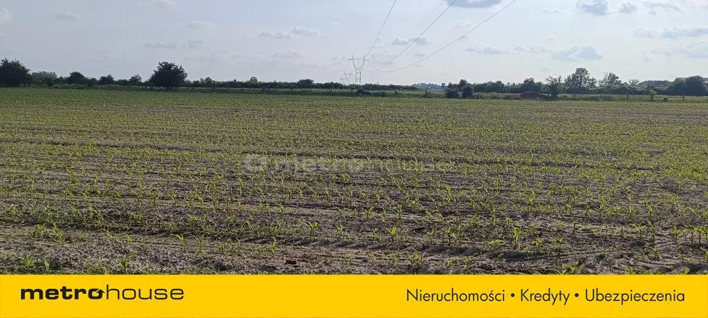 SGFITO231 - zdjęcie nr 1