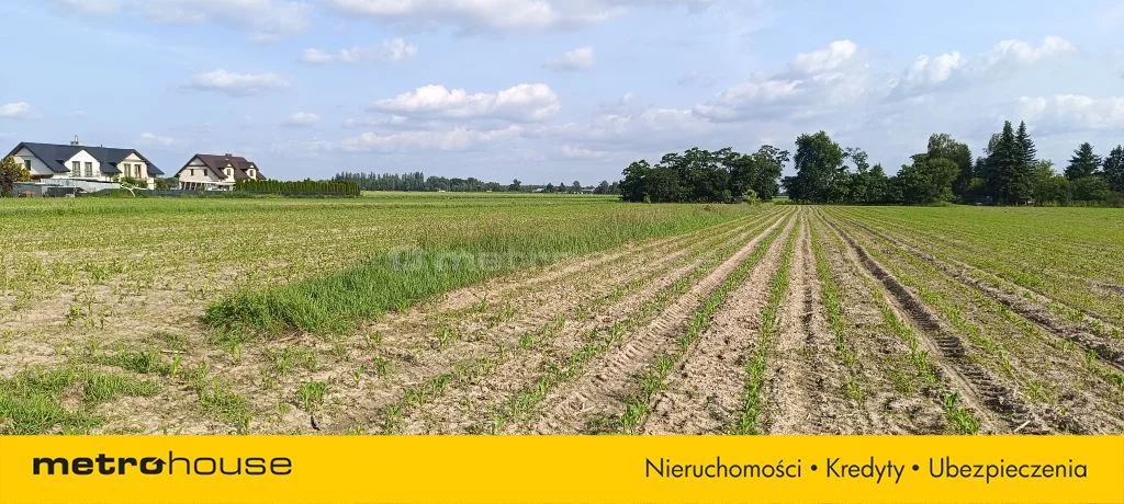 SGFITO231 - zdjęcie nr 4