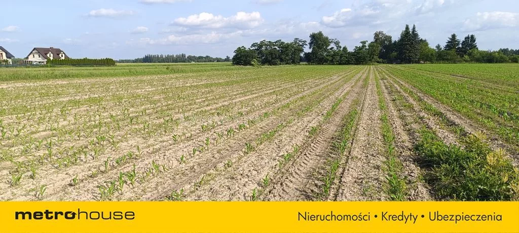 Działka 33 000,00 m², oferta nr , SGFITO231, Bronisławów
