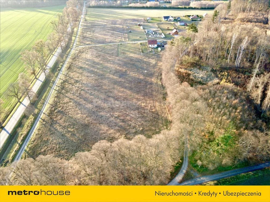 GAZY490 - zdjęcie nr 0