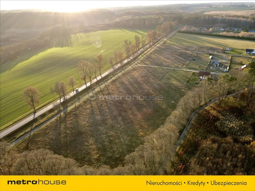 GAZY490 - zdjęcie nr 2