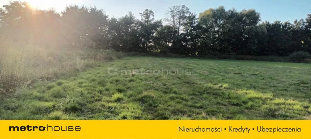 Działka 8 500,00 m², oferta nr , SGGESY953, Brzezie
