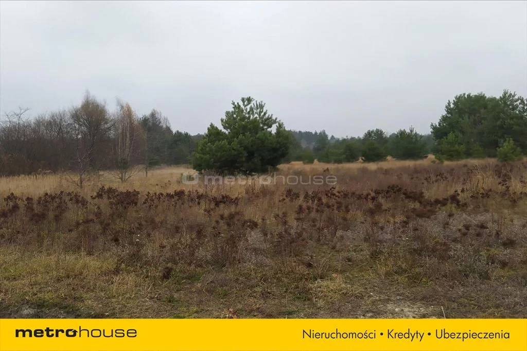 Działka 5 000,00 m², oferta nr , DEPY591, Brzeźnio