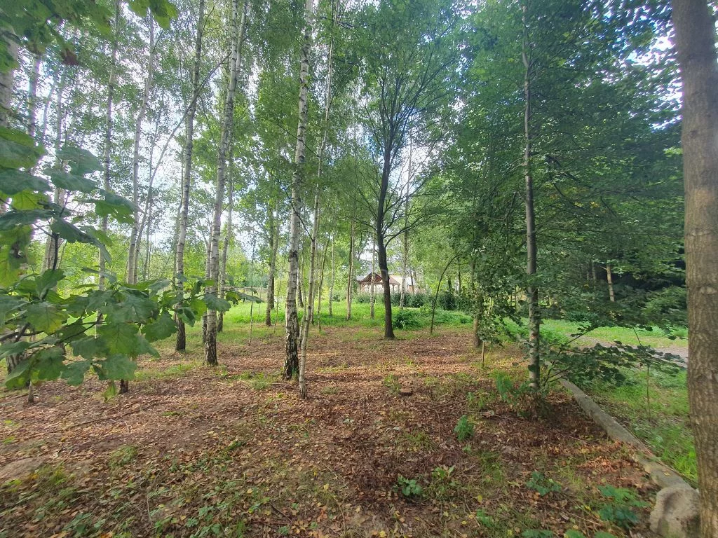 Działka 9 249,00 m², oferta nr , SGSERI773, Skarżysko Kościelne, Brzozowa