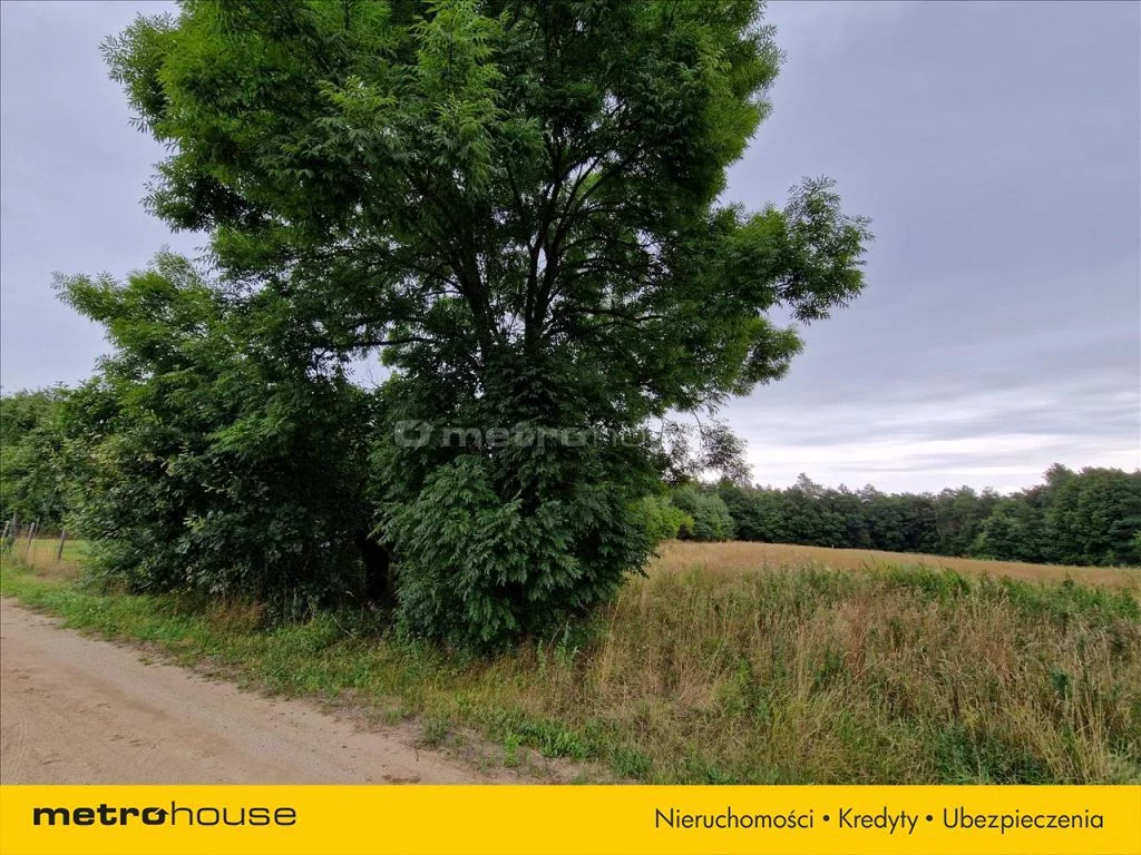 Działka 6 941,00 m², oferta nr , NYSE323, Bubel-Łukowiska