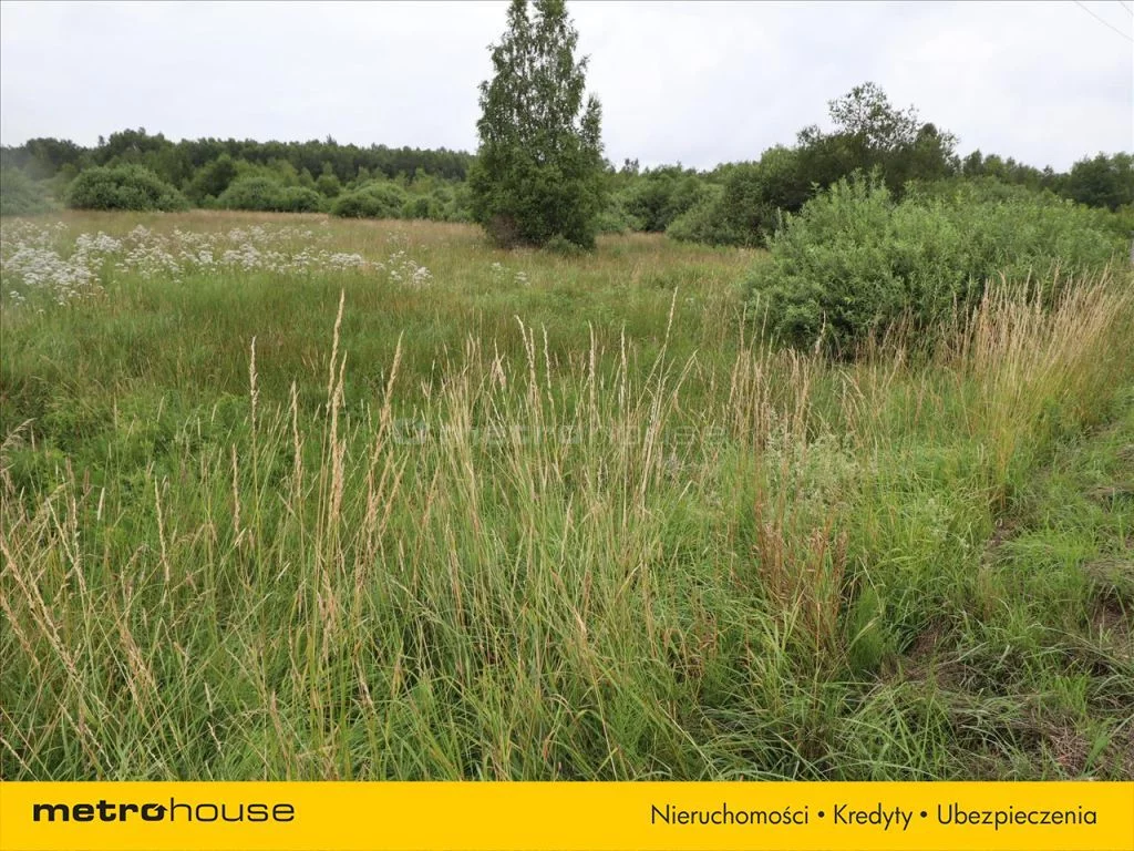Działka 225 800,00 m², oferta nr , SONI828, Buczek