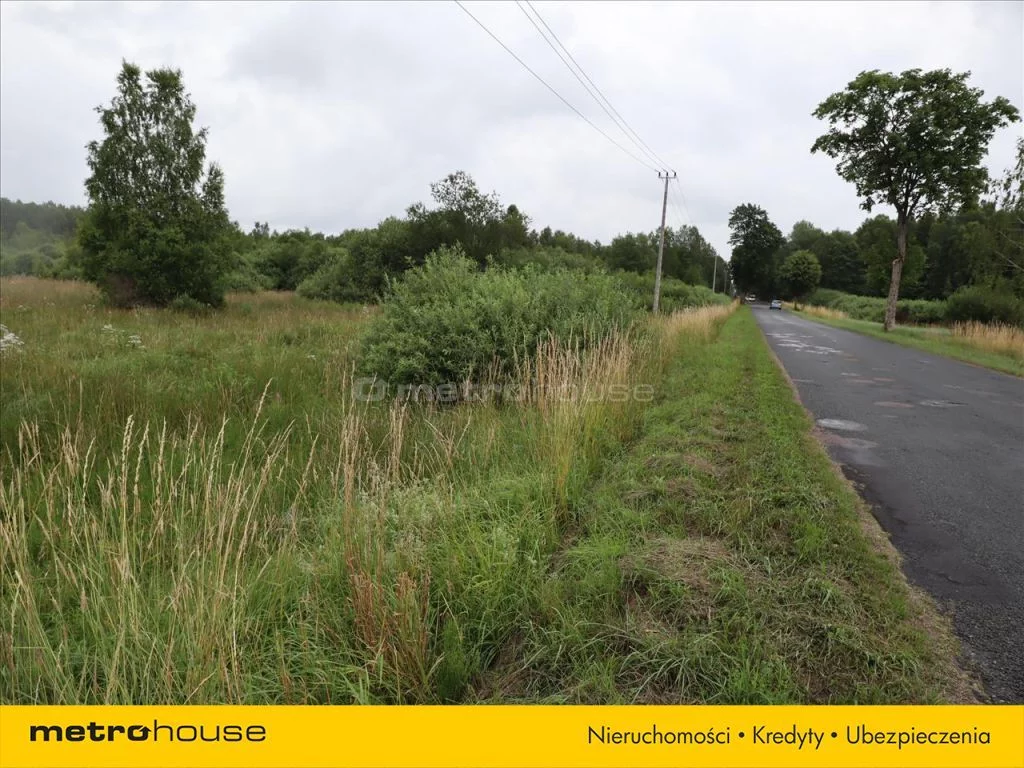 Działka 225 800,00 m², oferta nr , SONI828, Buczek