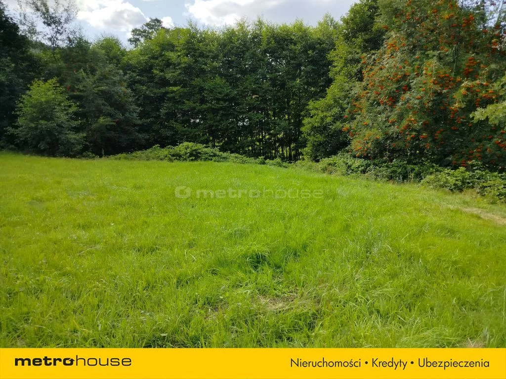 Działka 4 189,00 m², oferta nr , SGFALI215, Buczkowice