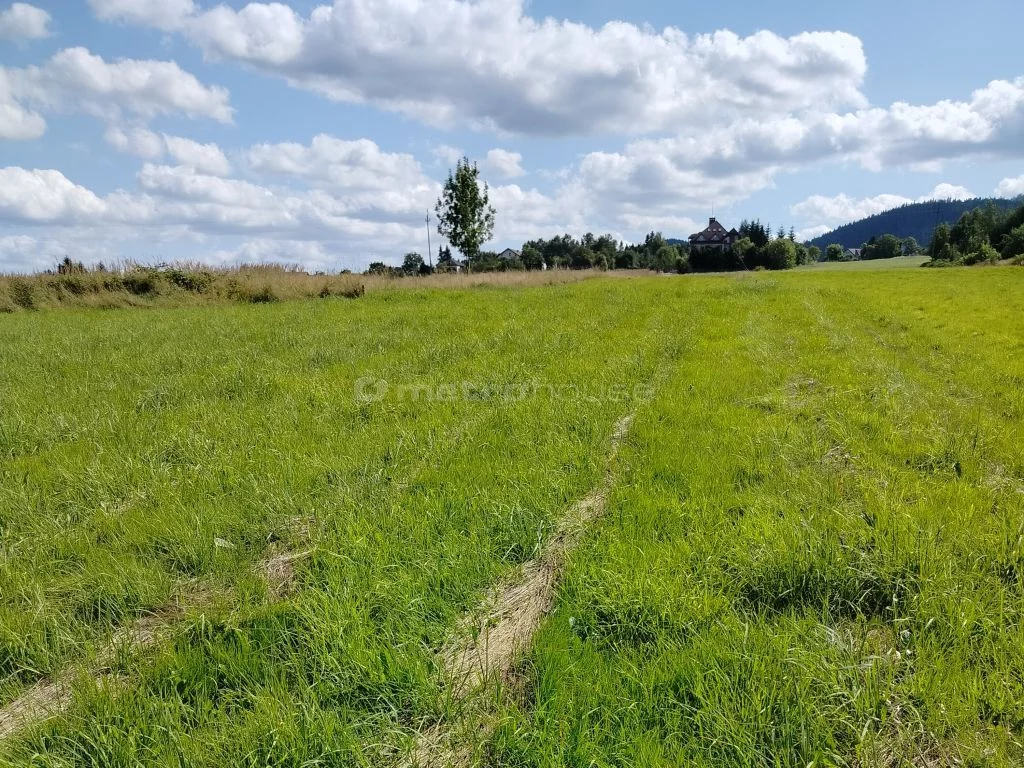 Działka 4 189,00 m², oferta nr , SGFALI215, Buczkowice