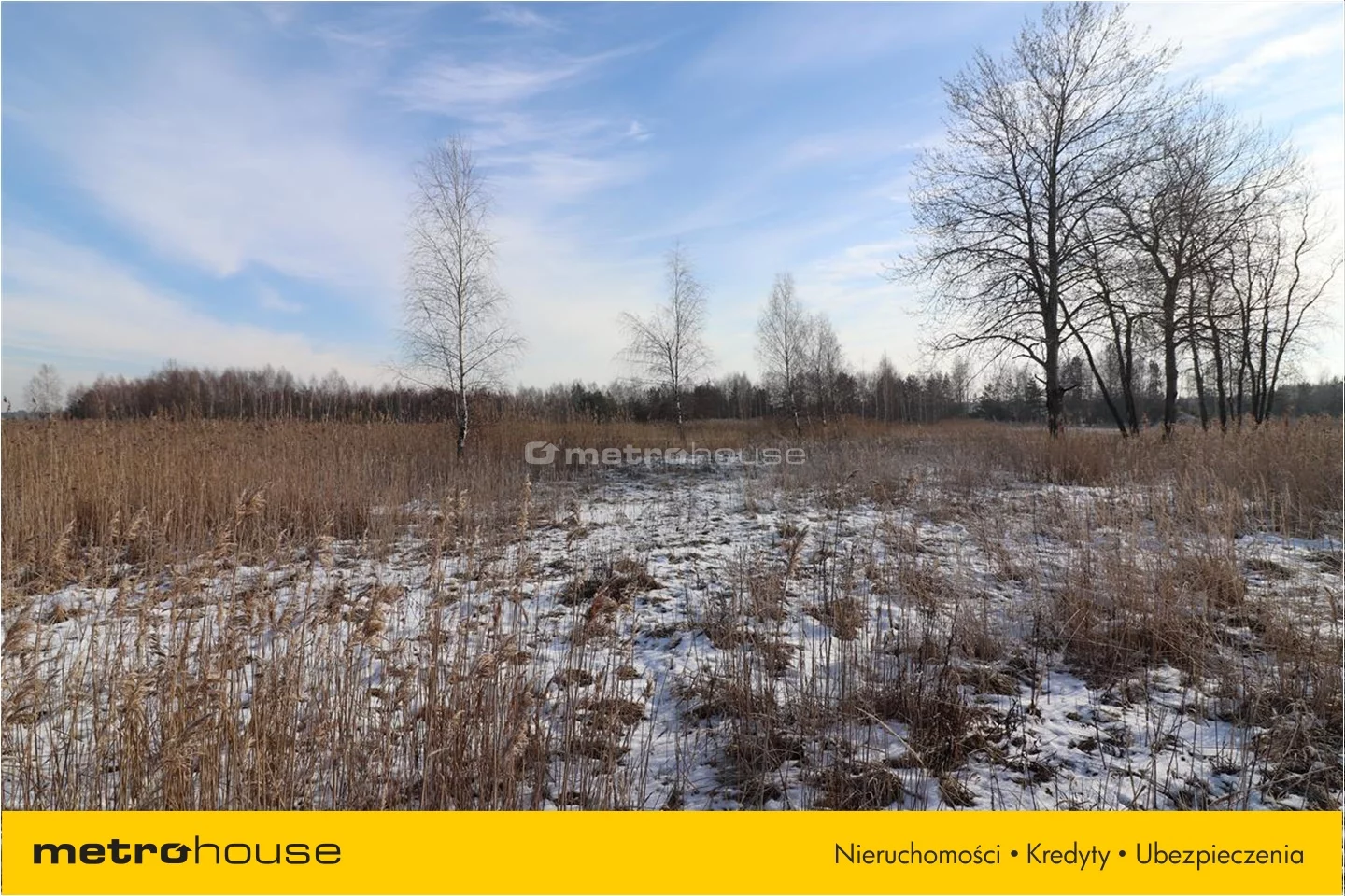 Działka 48 021,00 m², oferta nr , TYSA075, Budy Głogowskie