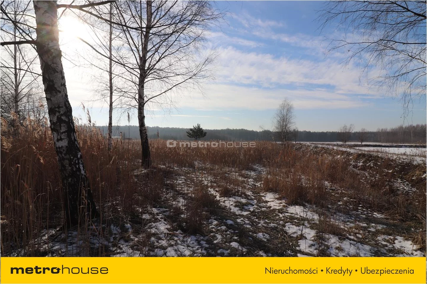 Działka 48 021,00 m², oferta nr , TYSA075, Budy Głogowskie