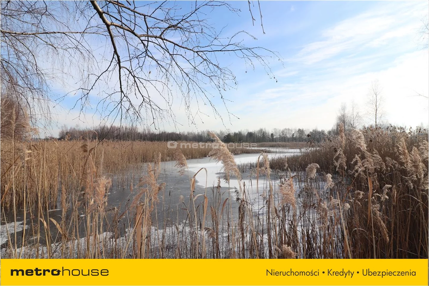 Działka 48 021,00 m², oferta nr , TYSA075, Budy Głogowskie