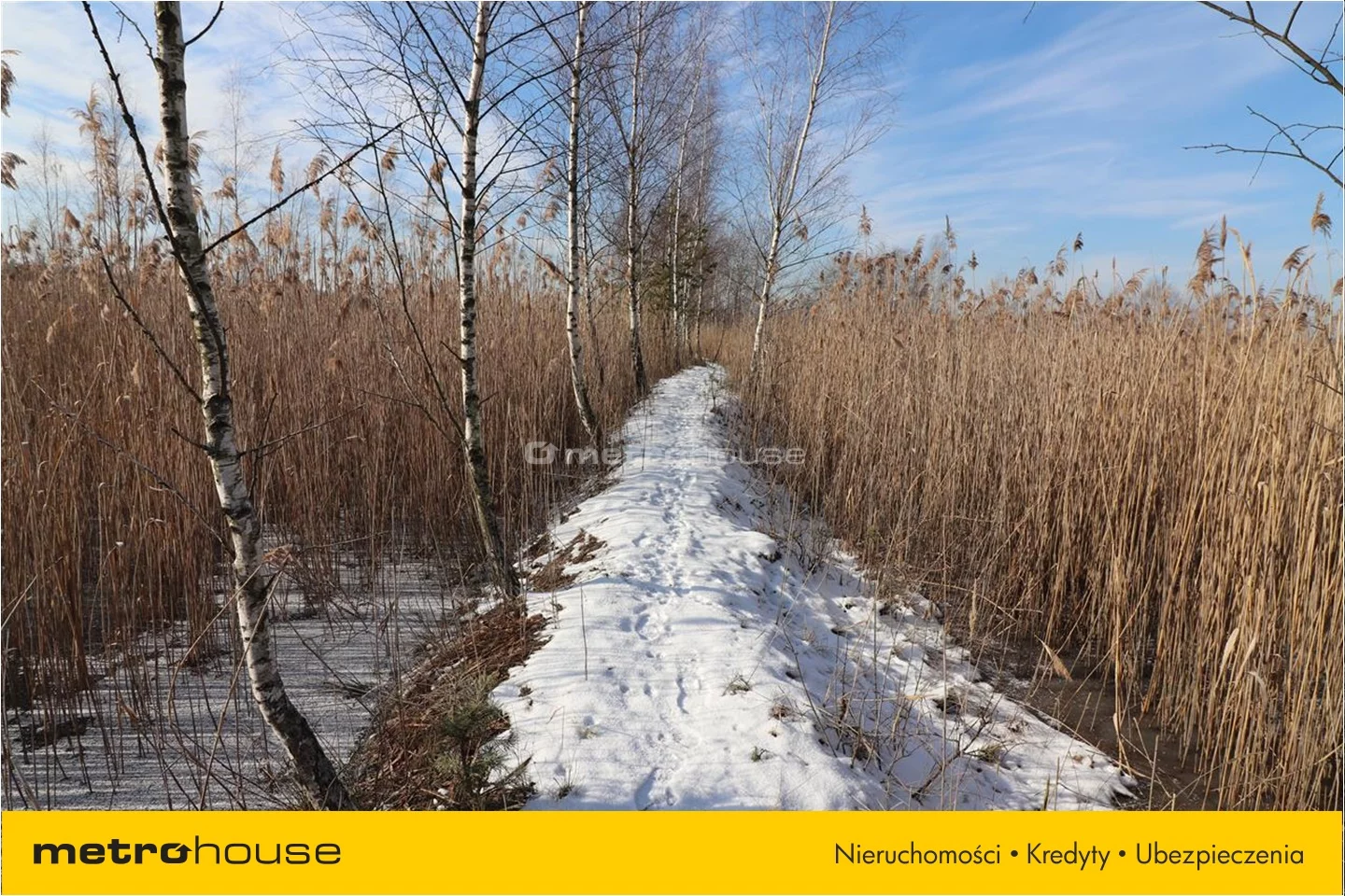 Działka 48 021,00 m², oferta nr , TYSA075, Budy Głogowskie
