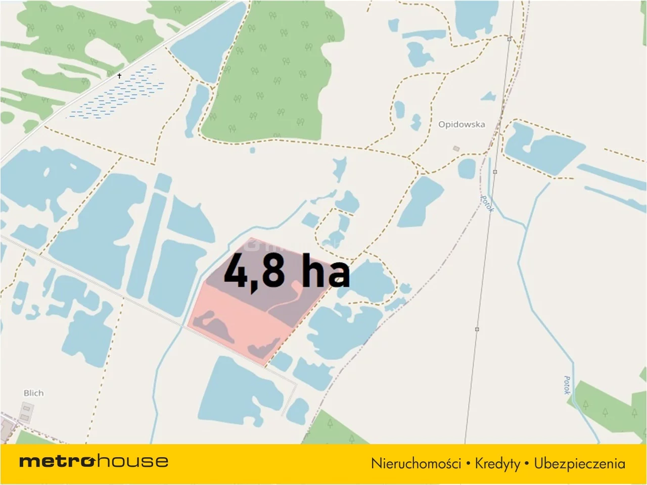 Działka 48 021,00 m², oferta nr , TYSA075, Budy Głogowskie