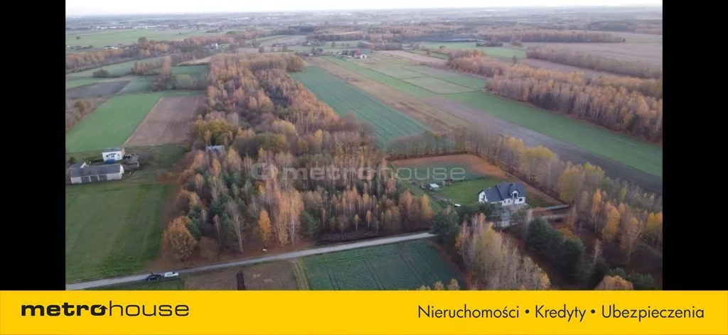 Działka 33 592,00 m², oferta nr , SGVEKI637, Jedlicze B, Bukowa