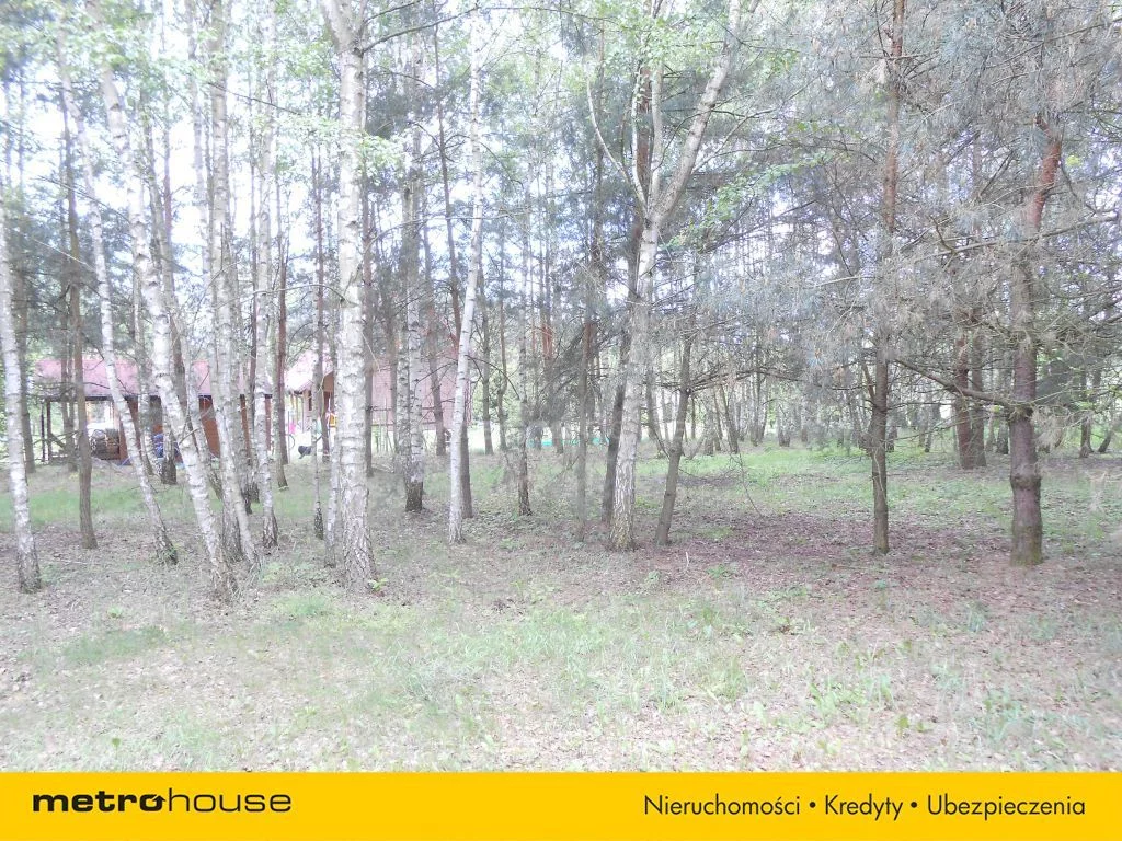 SGVORI819 - zdjęcie nr 1