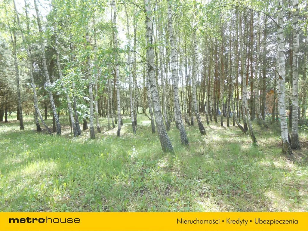 SGVORI819 - zdjęcie nr 4