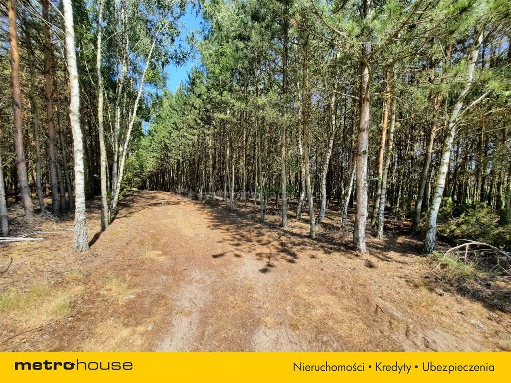 Działka 4 288,00 m², oferta nr , JYBE954, Cegielnia