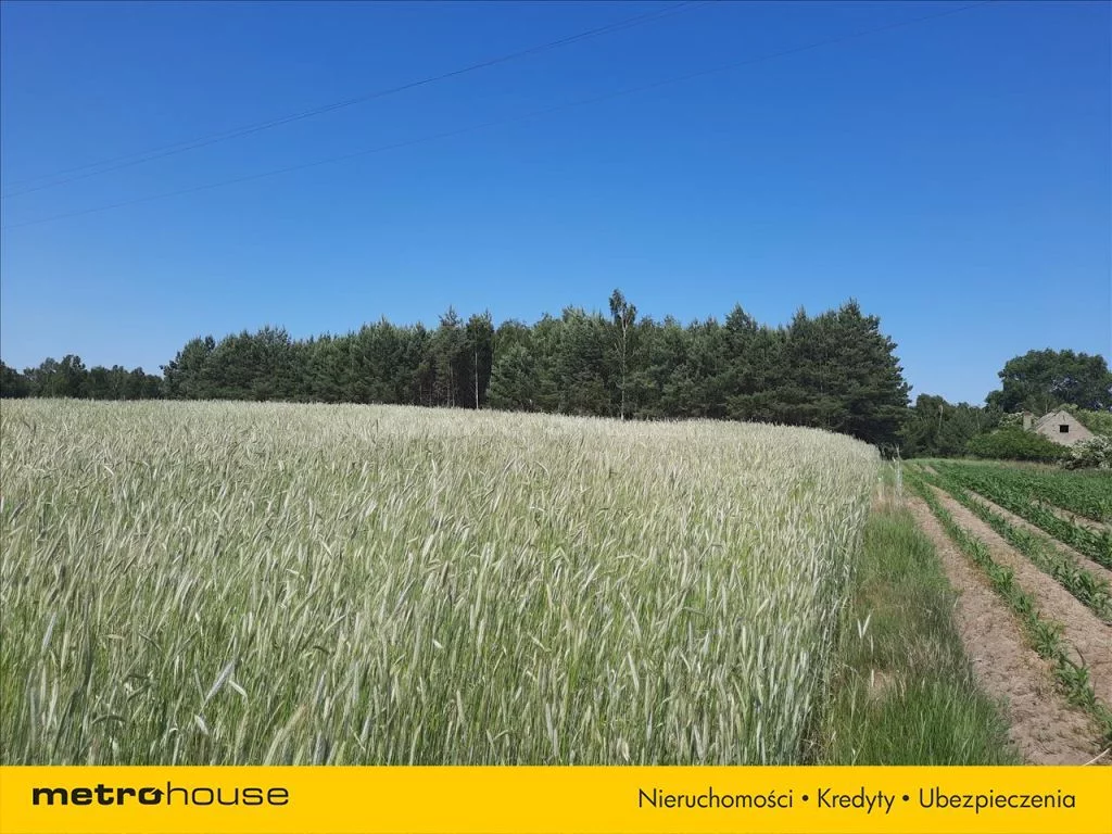 Działka 4 288,00 m², oferta nr , JYBE954, Cegielnia