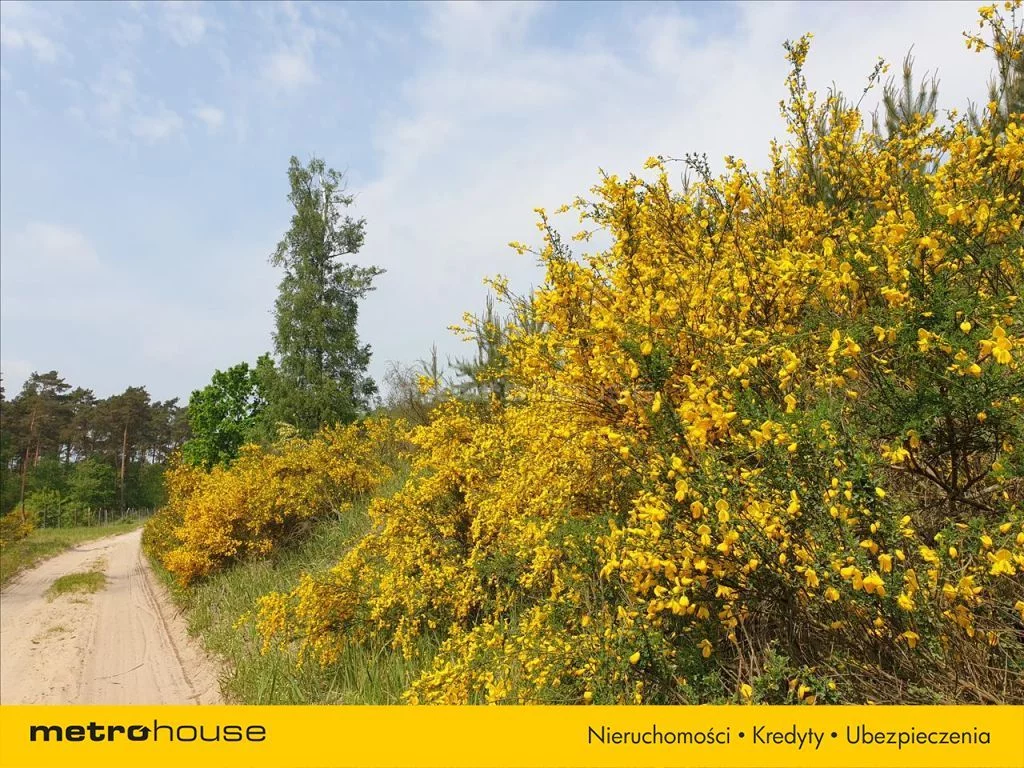Działka 1 465,00 m², oferta nr , SUBI667, Choinek