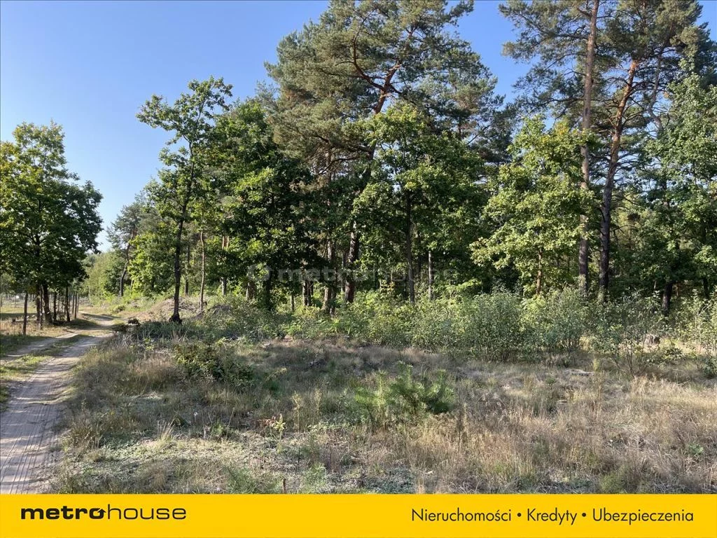 Działka 36 344,00 m², oferta nr , GYZA411, Choiny