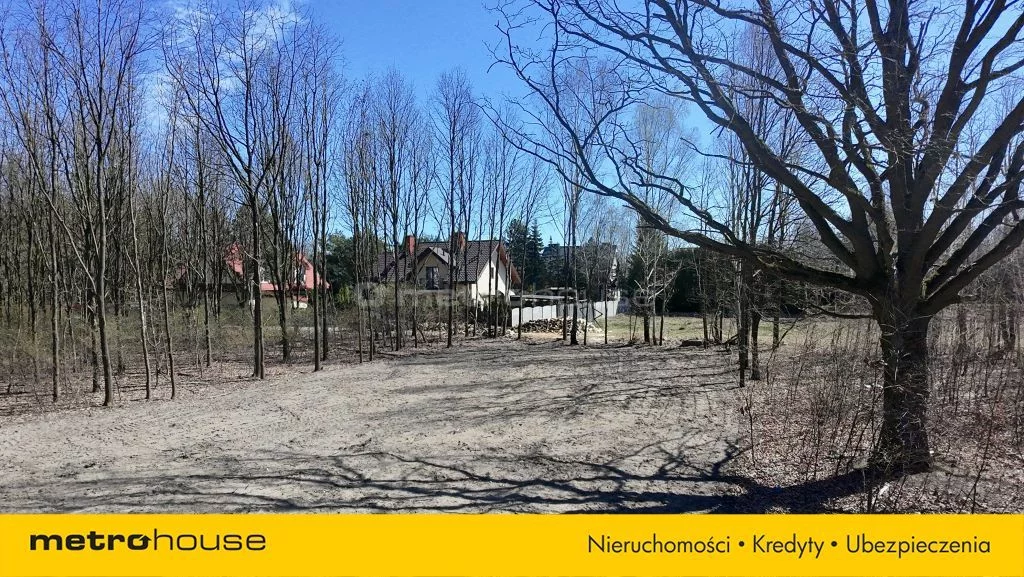 SGFEJY256 - zdjęcie nr 0