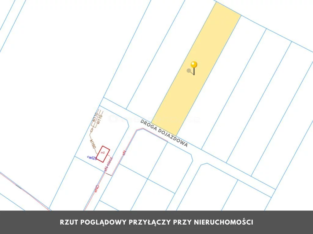 SGJOSE693 - zdjęcie nr 2