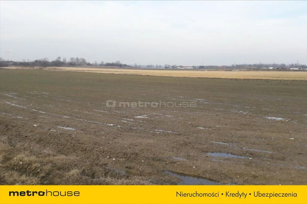 Działka 21 471,00 m², oferta nr , GEHY397, Ciechanów