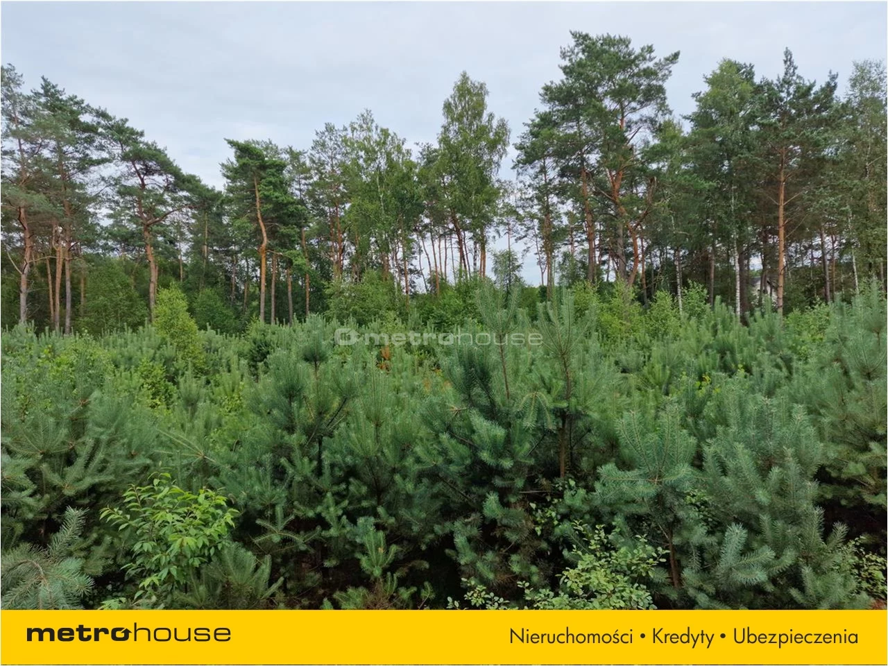 Działka 2 200,00 m², oferta nr , ROFU617, Ciechocin
